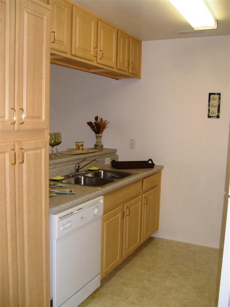 Gallery Photo 17