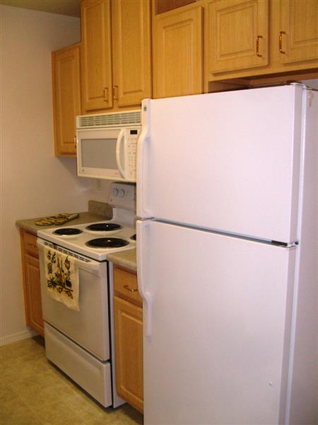 Gallery Photo 18