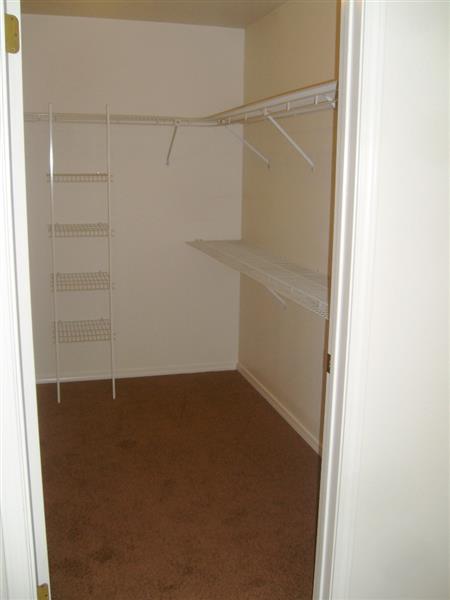 Gallery Photo 20