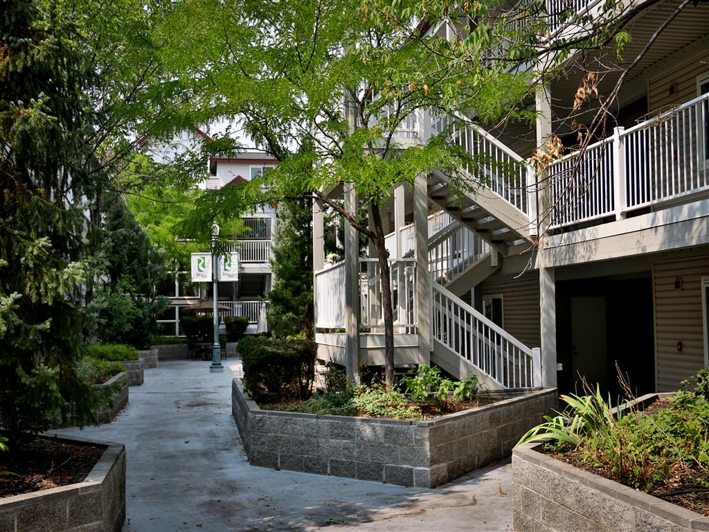Gallery Photo 11