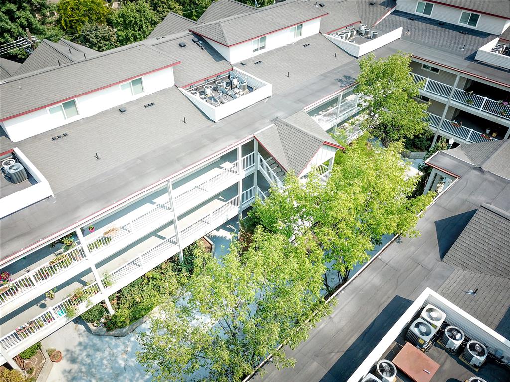 Gallery Photo 26