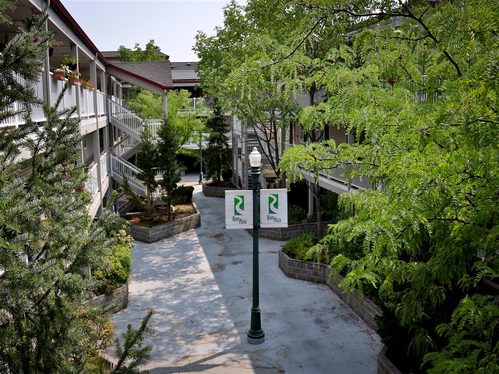 Gallery Photo 6