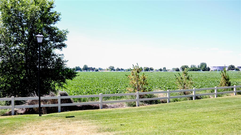 Gallery Photo 14