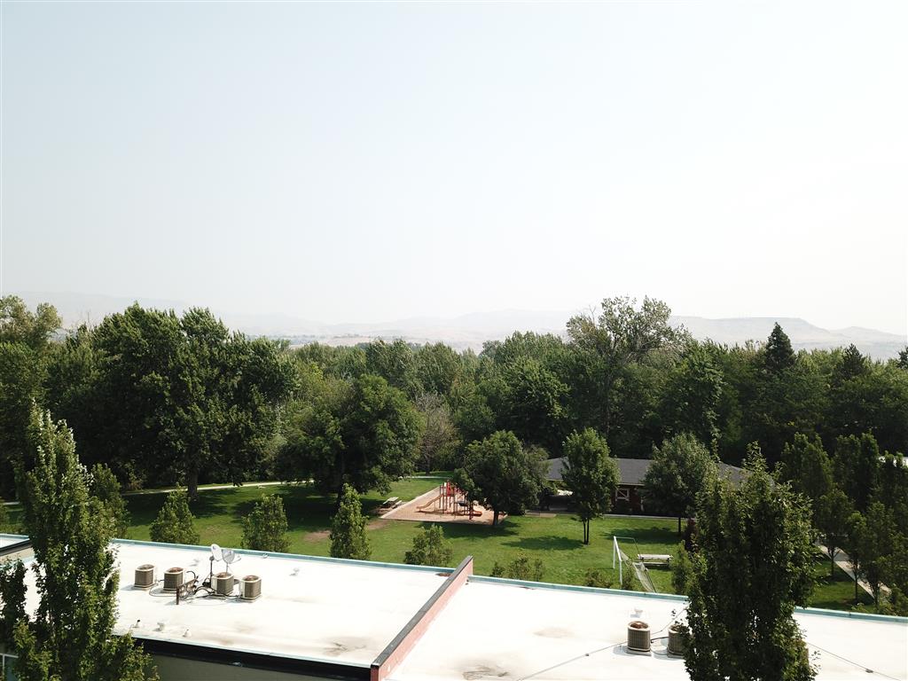 Gallery Photo 15