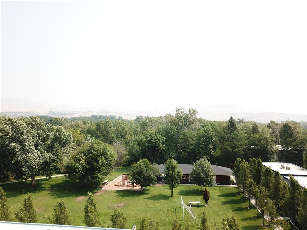 Gallery Photo 16