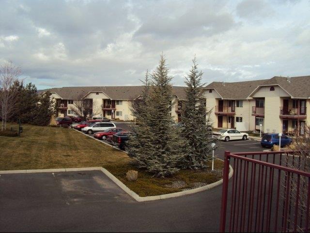 Gallery Photo 5