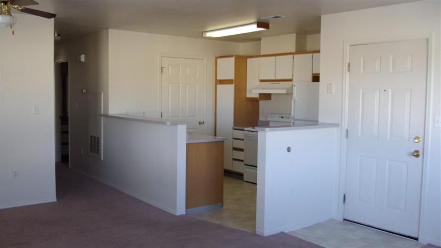 Gallery Photo 5
