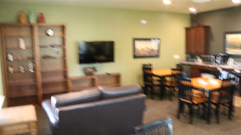 Gallery Photo 23