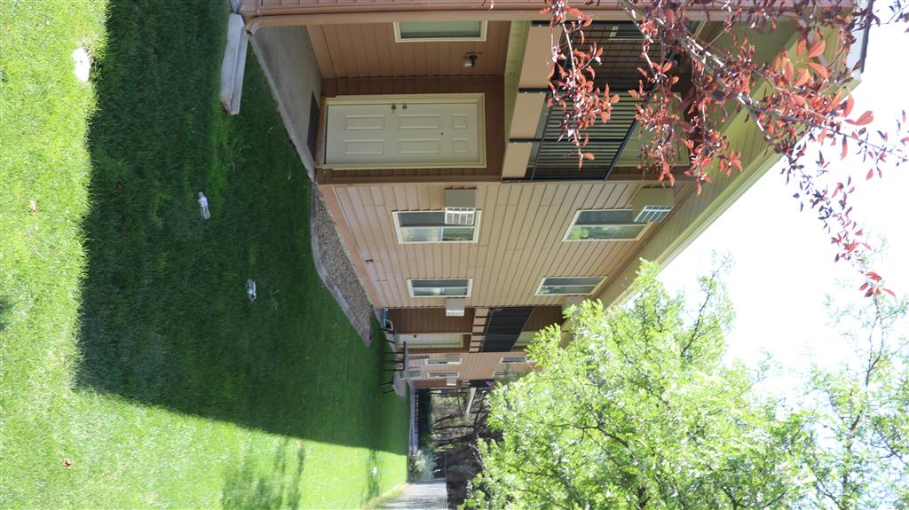 Gallery Photo 44