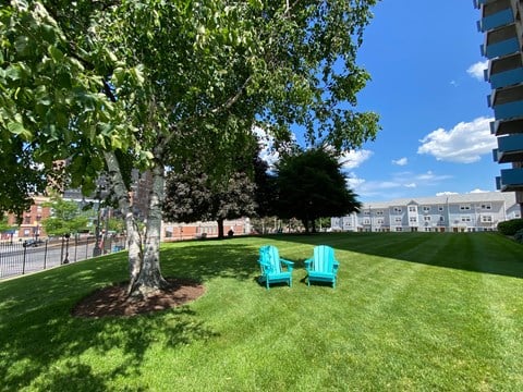Beautiful lawn with mature birch trees and lounge chairs.