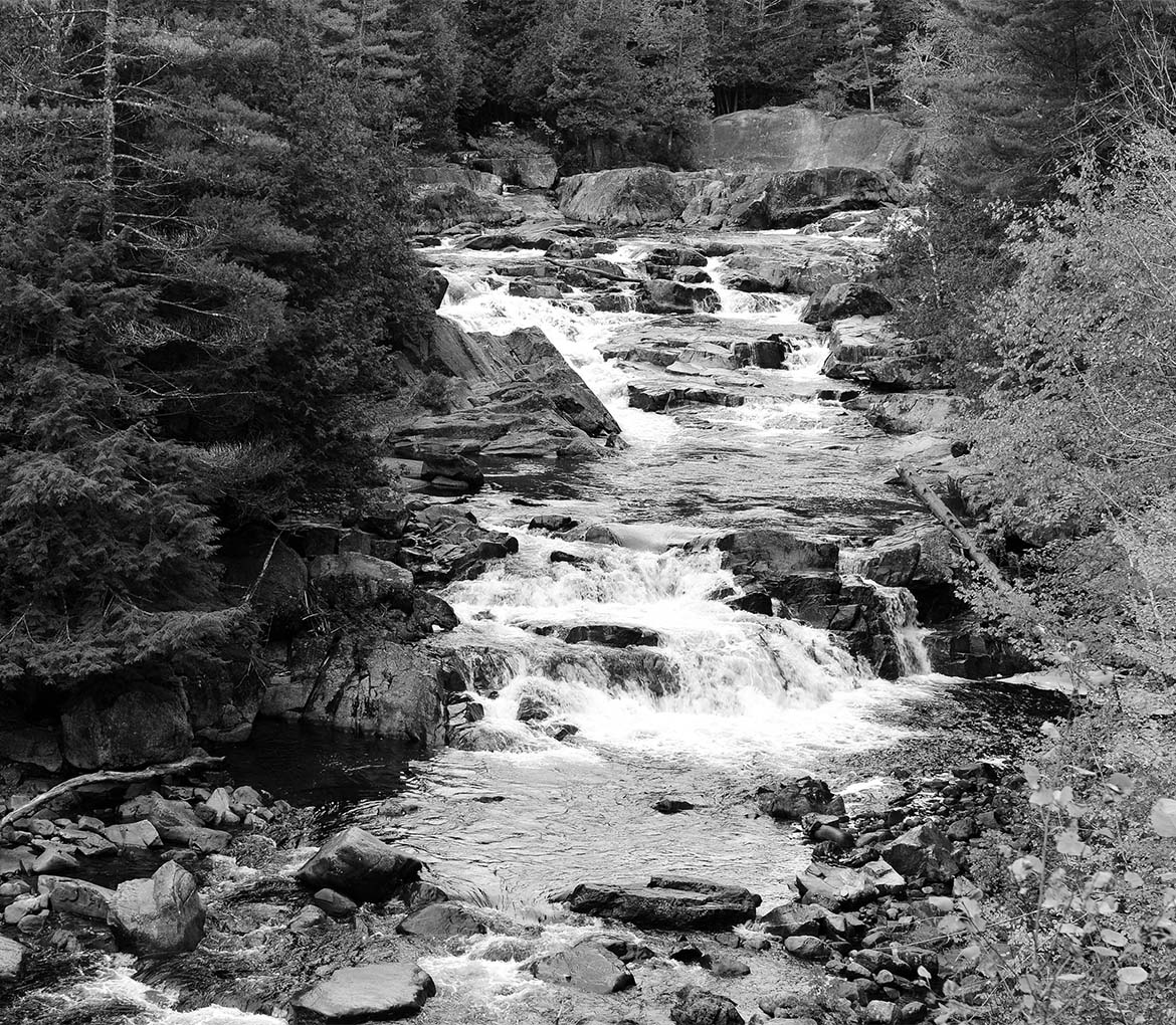 Quiet Harbor at Saratoga Springs Rental Homes and Apartments in