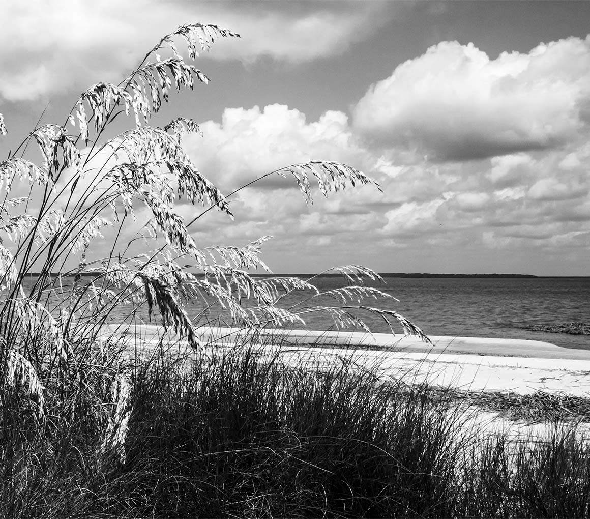 Marne Point Apartments Apartments in Fort Stewart/Hinesville, GA