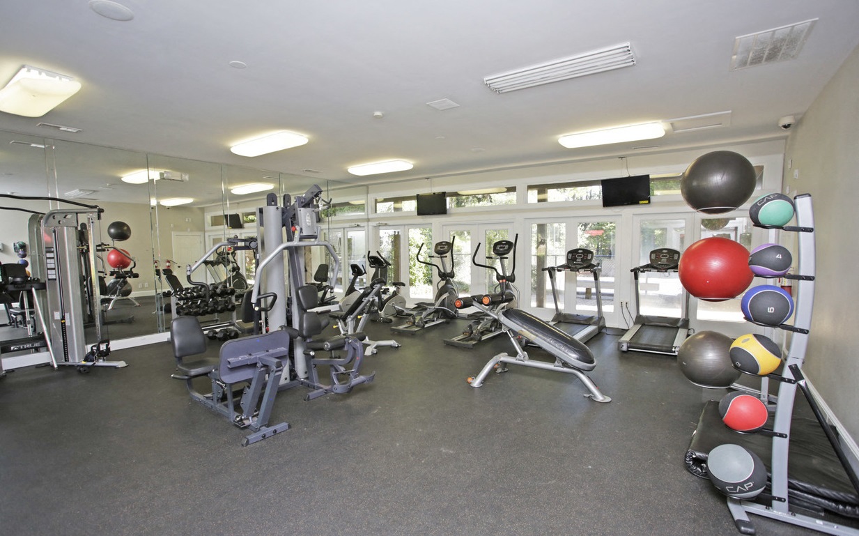 Gallery Photo 1