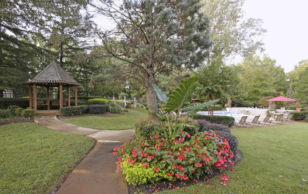 Gallery Photo 4