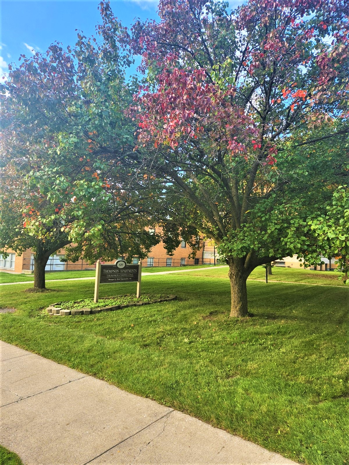 Photos and Video of Thompson Senior Apartments in Canandaigua, NY