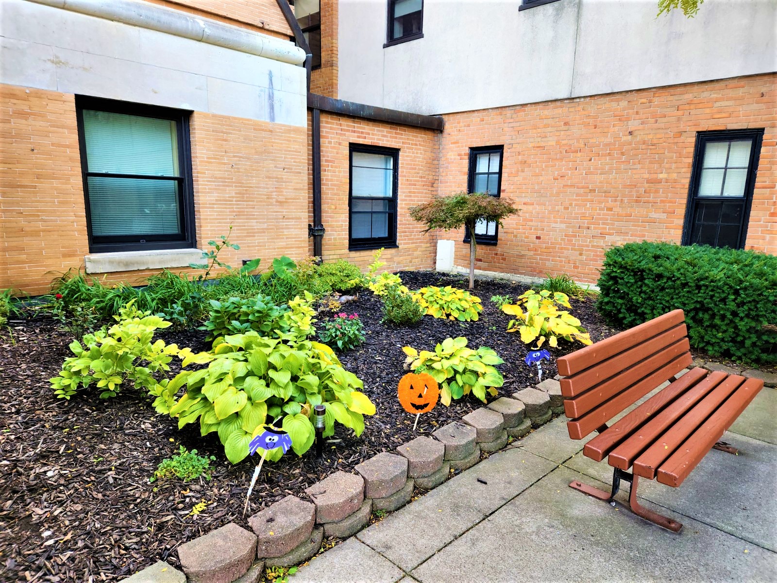 Photos and Video of Thompson Senior Apartments in Canandaigua, NY