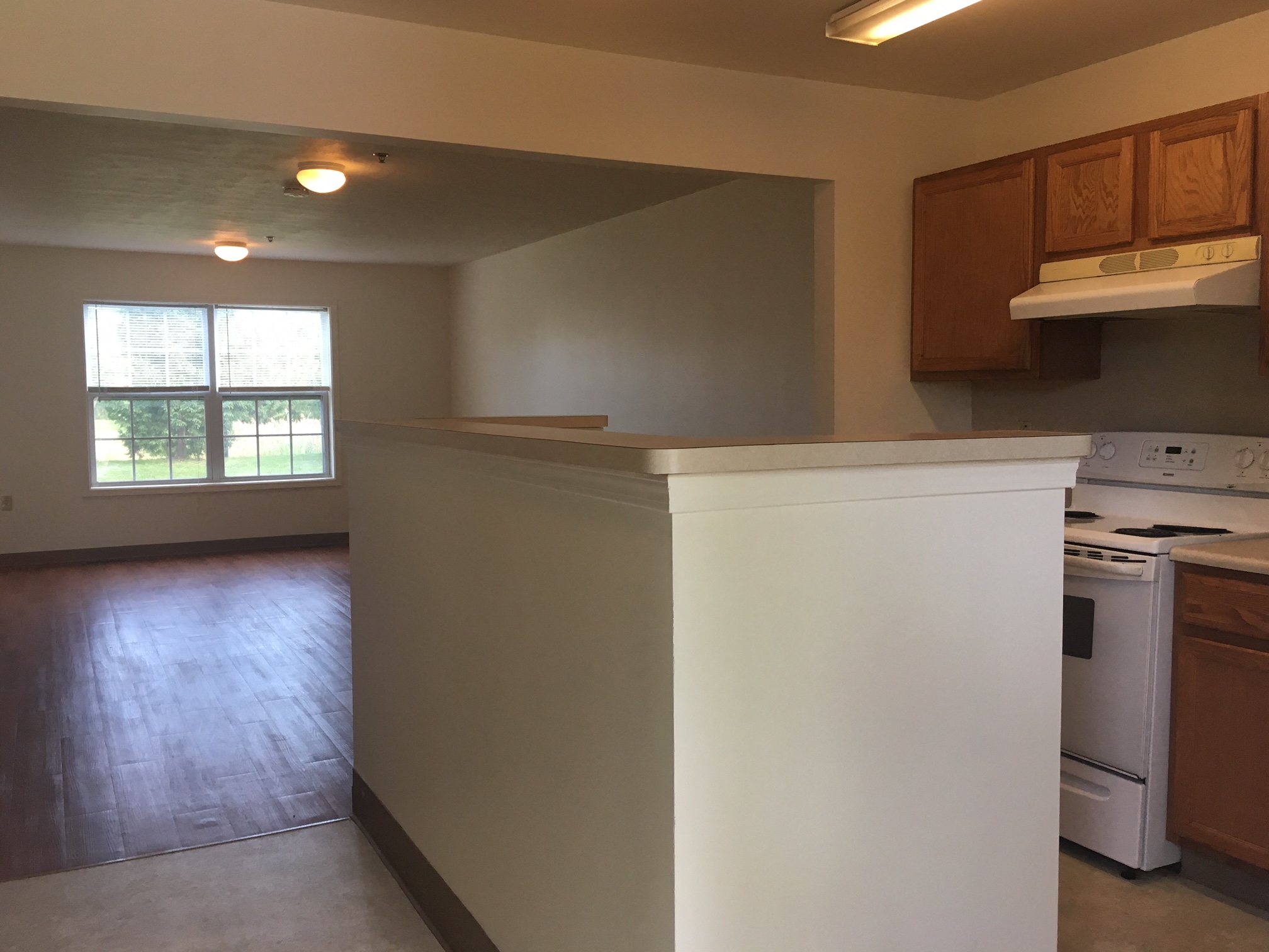 Gallery Photo 4