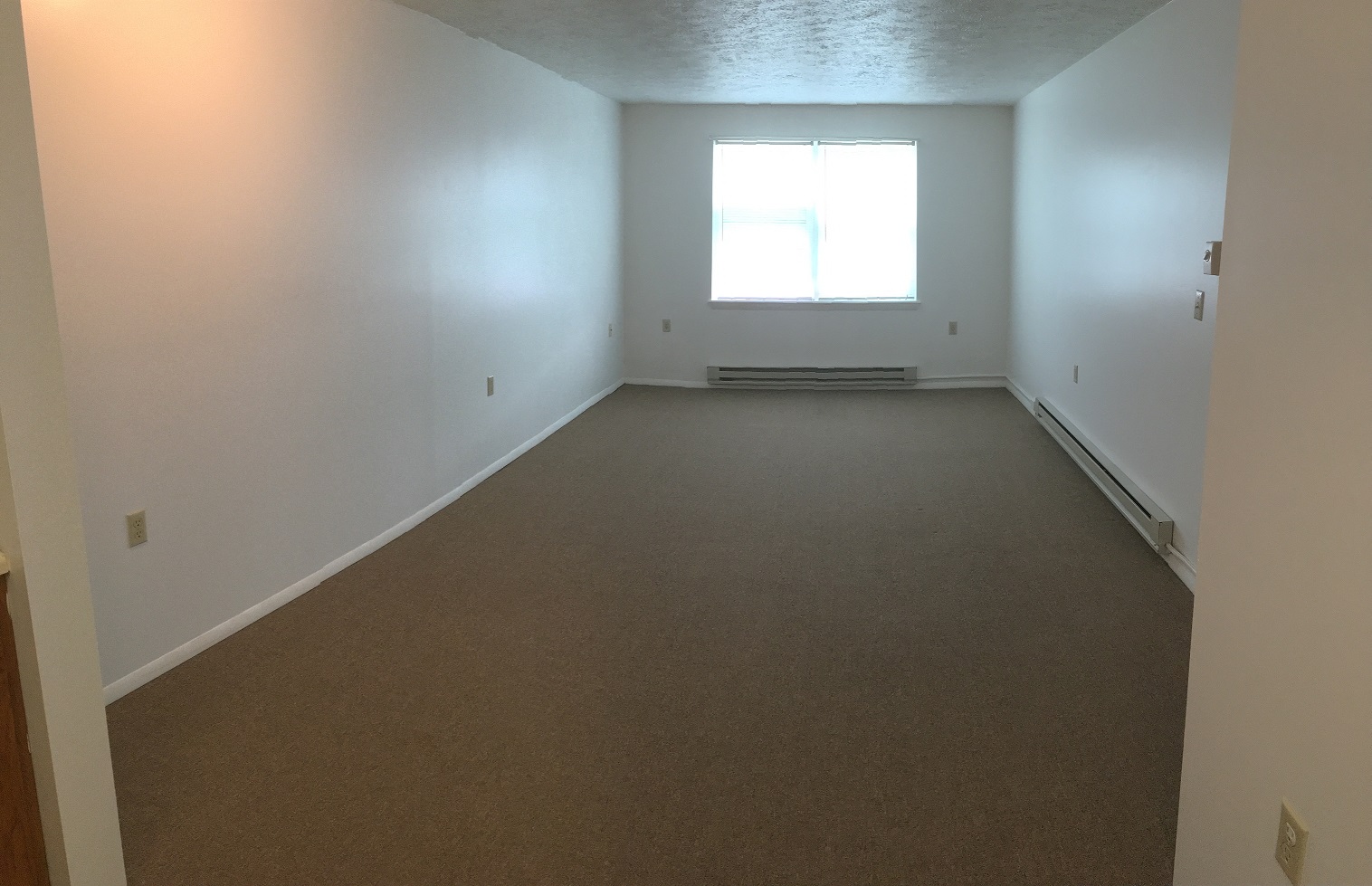 Gallery Photo 4