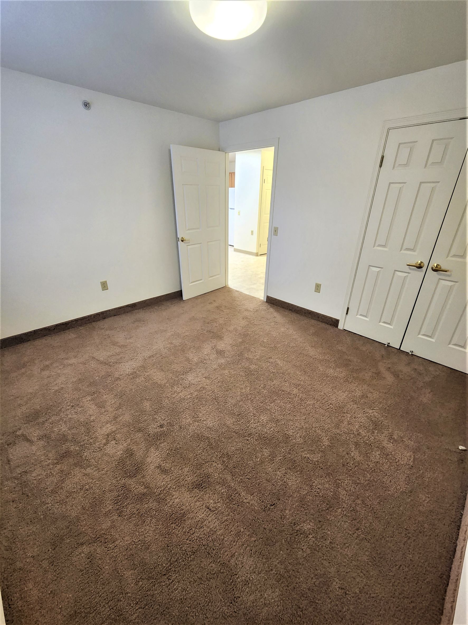 Gallery Photo 6