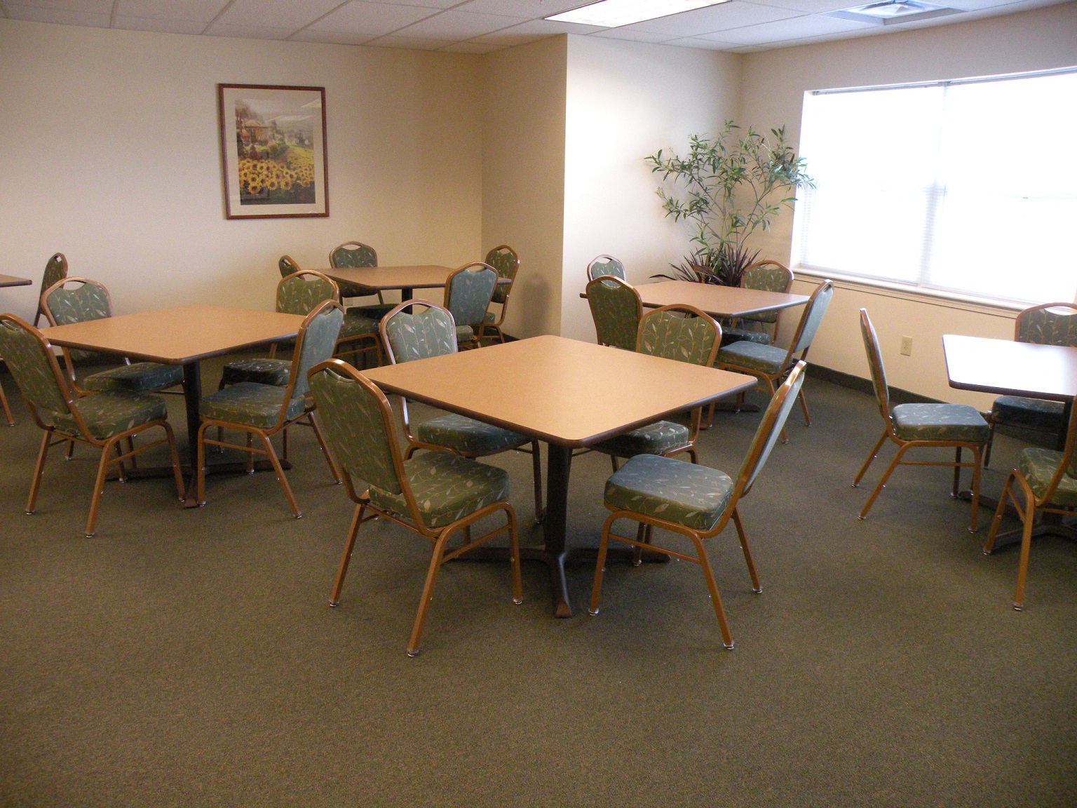 Gallery Photo 6
