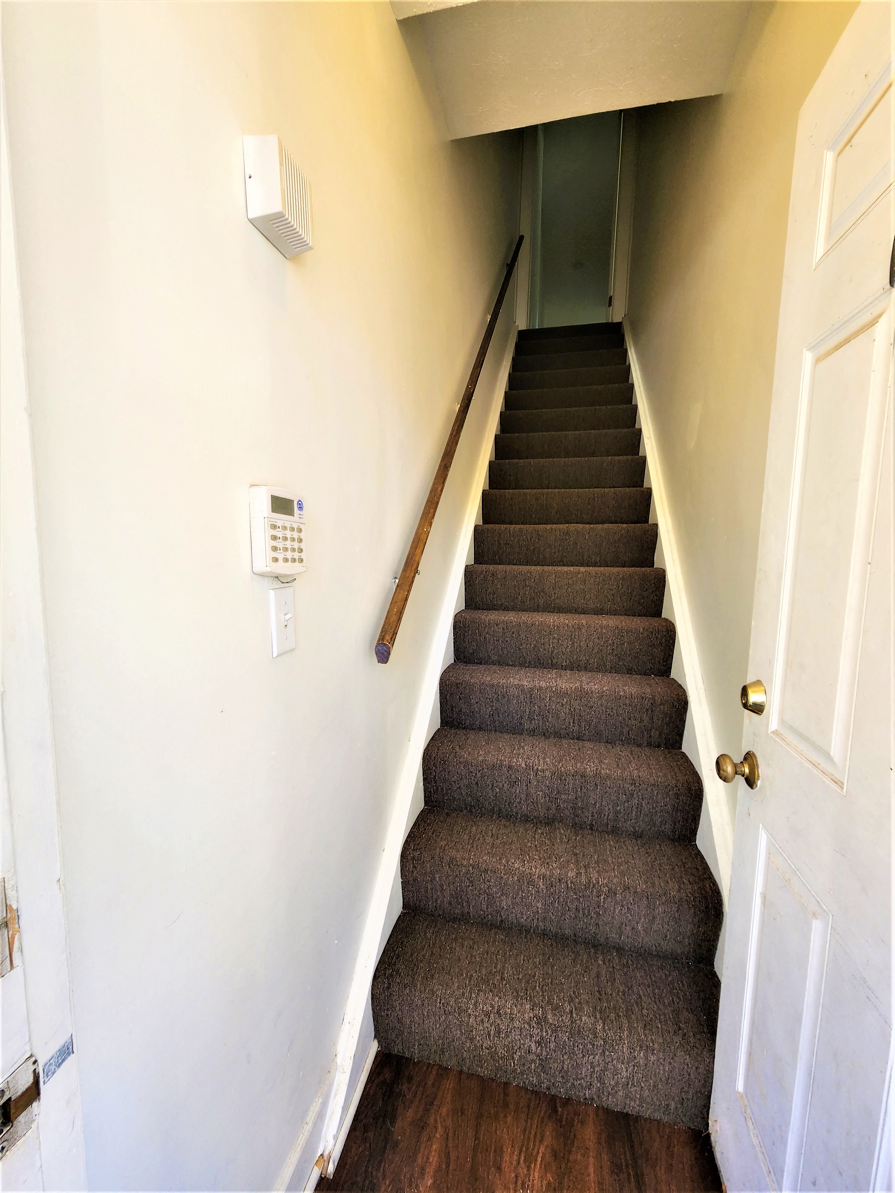 Gallery Photo 4