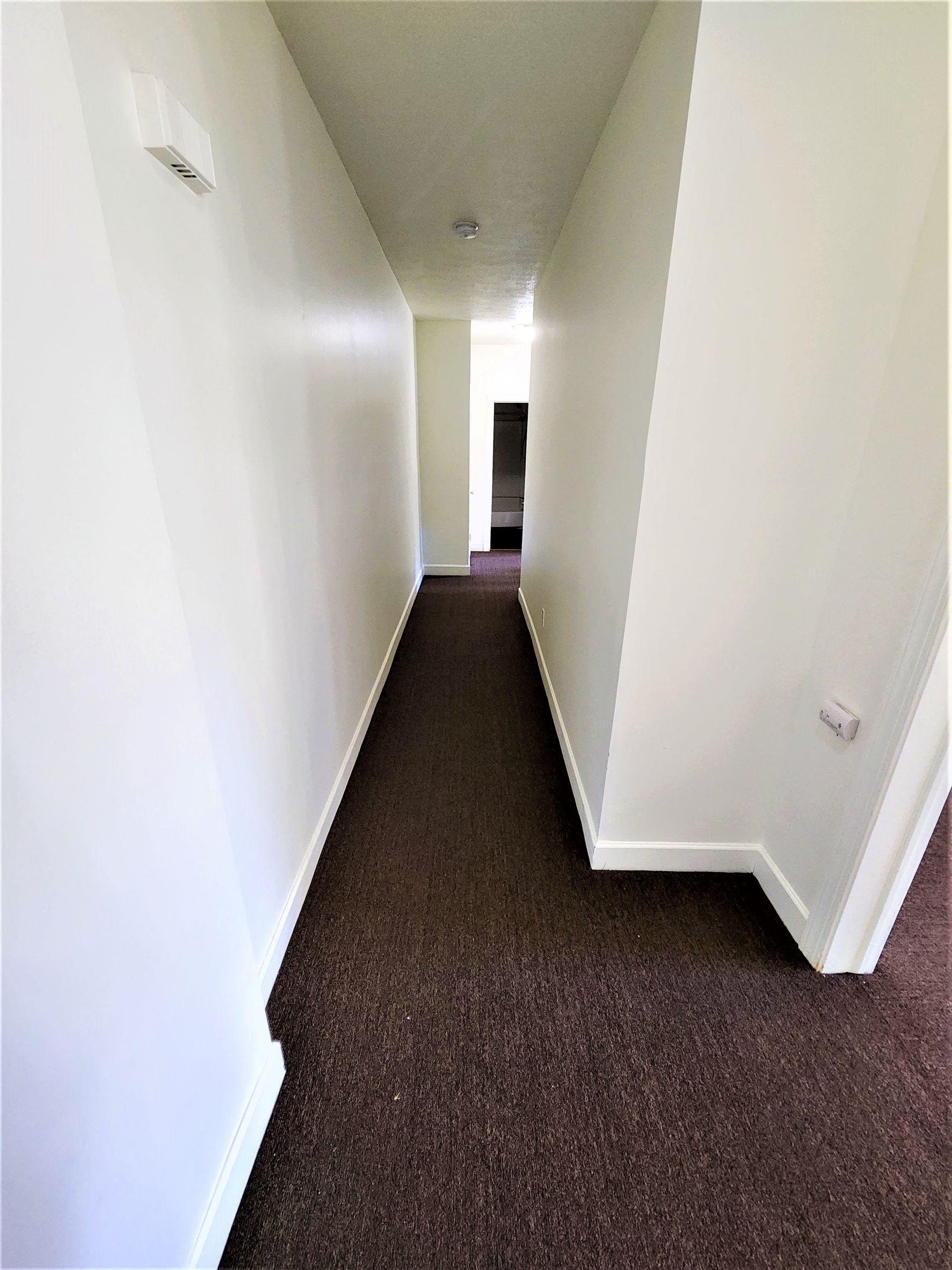 Gallery Photo 5