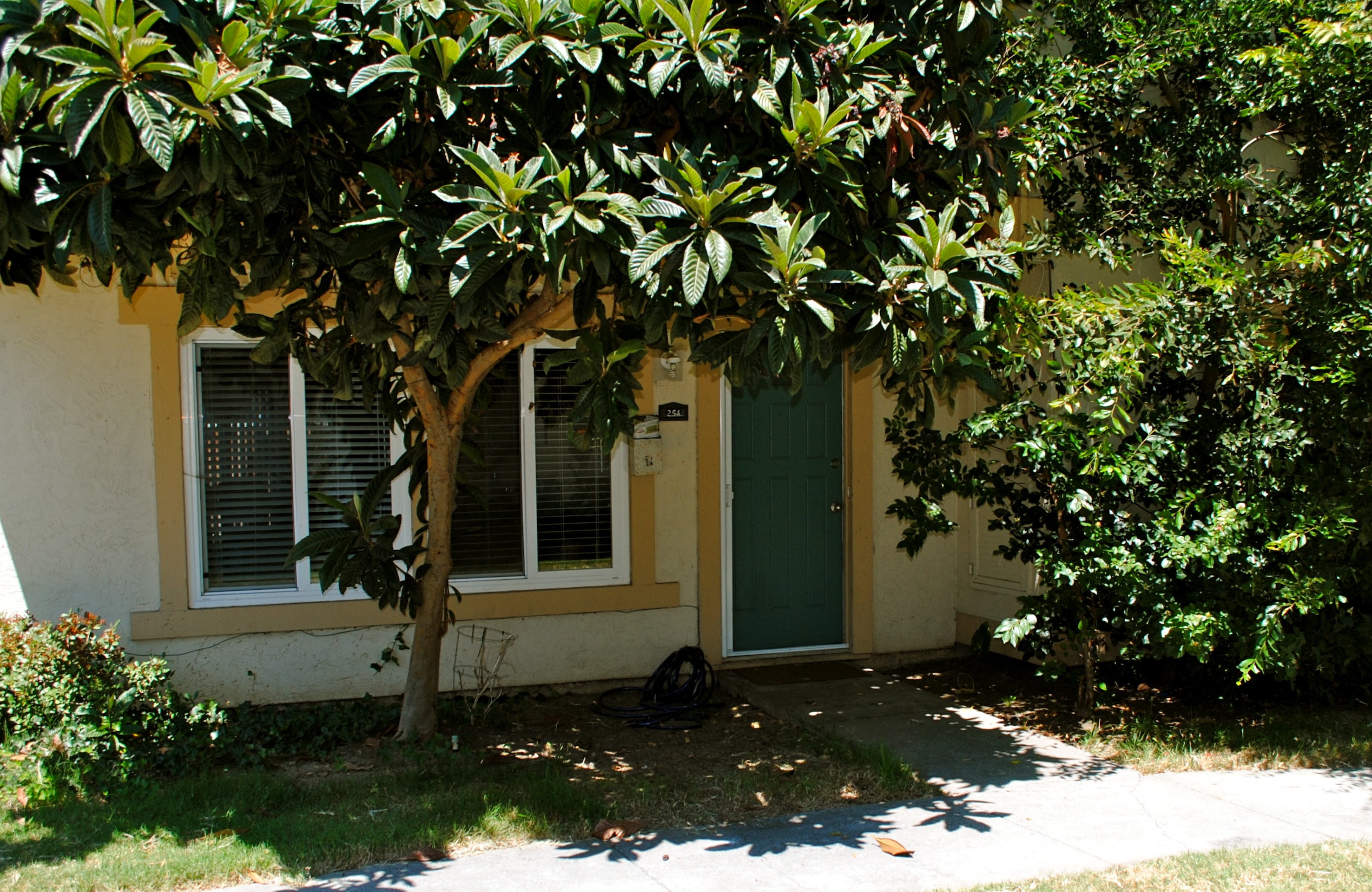 Gallery Photo 0