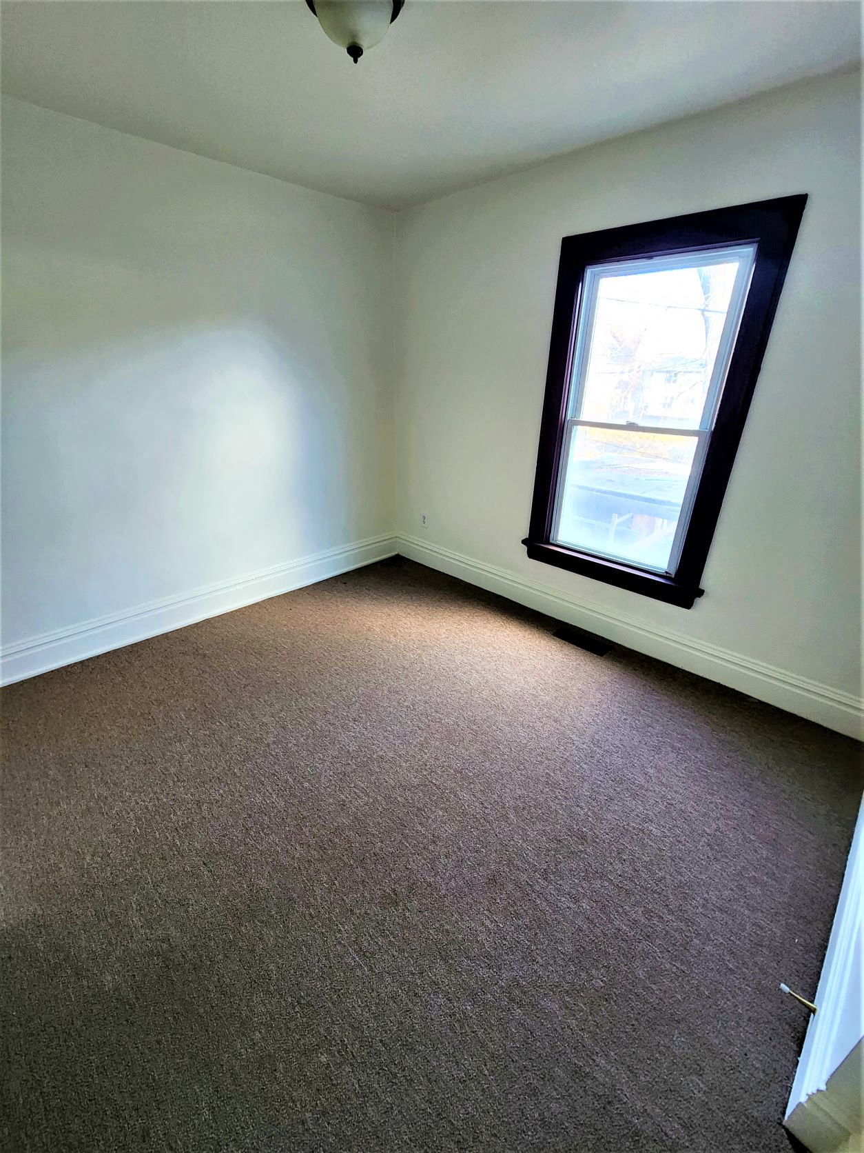 Gallery Photo 6