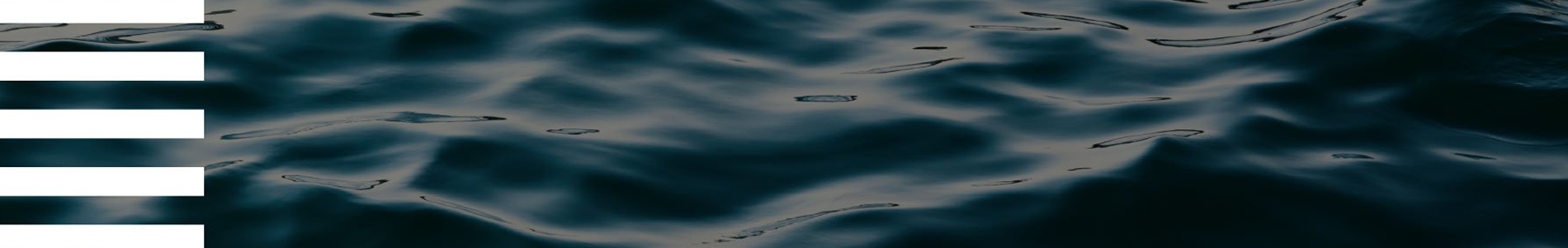 Gallery Photo 0