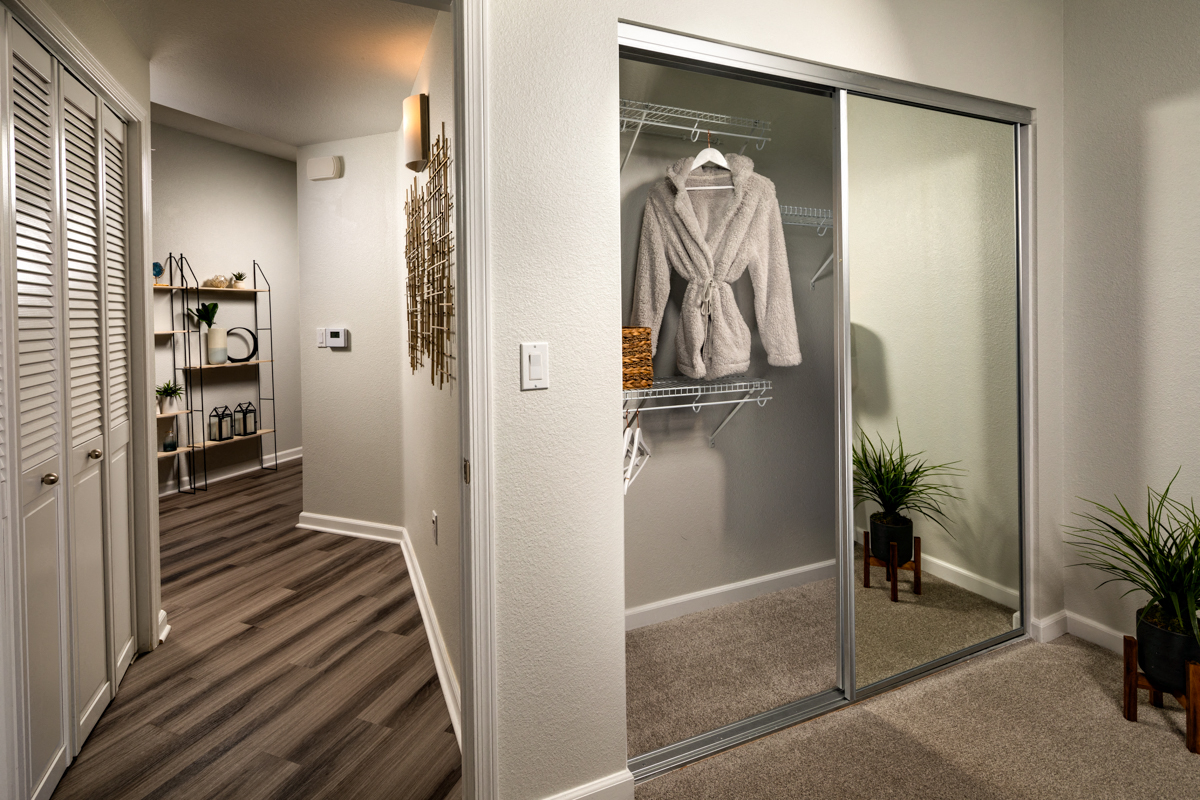 Two-Bedroom Apartments in La Mesa, CA - The District - A Modern Apartment Hallway With Wood-Style Flooring, a Shelving Unit, a Mirrored Sliding-Door Closet, and Plants.