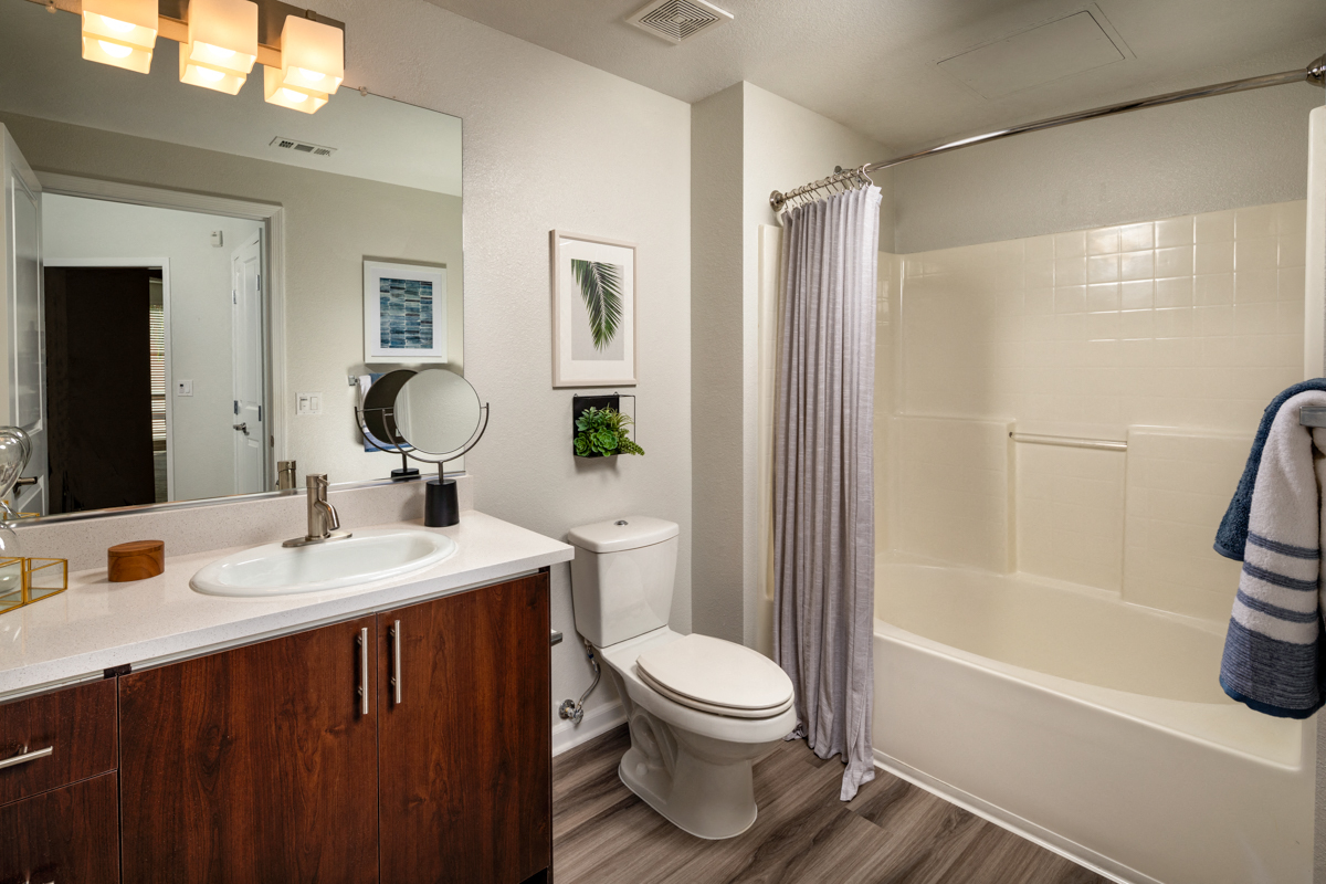 Spacious Bathroom With Shower and Tub Combo and Sleek Interiors
