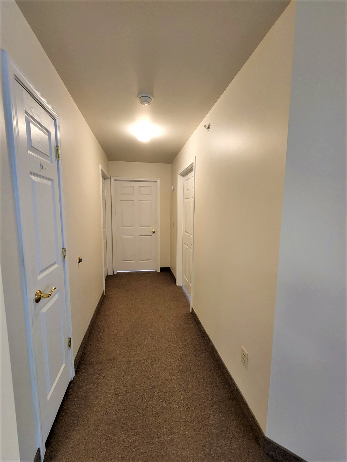 Gallery Photo 6
