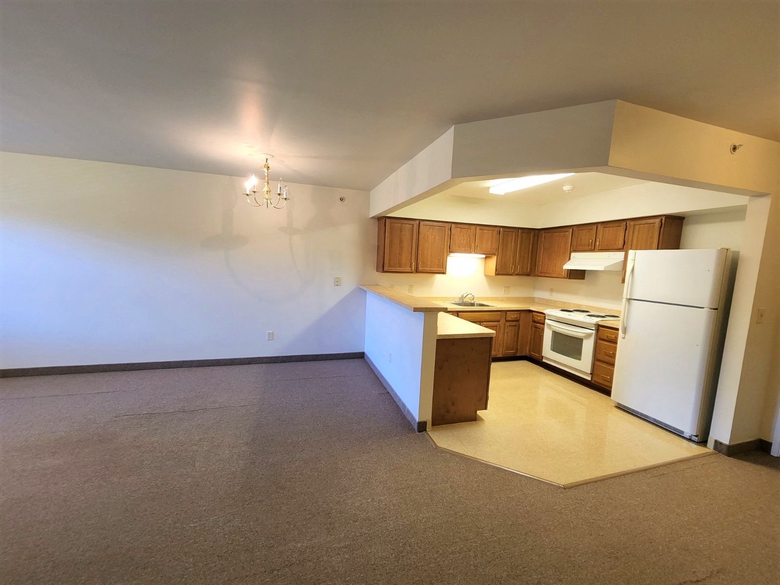 Gallery Photo 4
