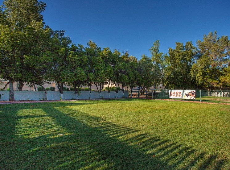 Spacious Lawn Area for Pets and Many Fun Outdoor Activities