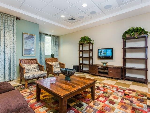 Gallery Photo 7