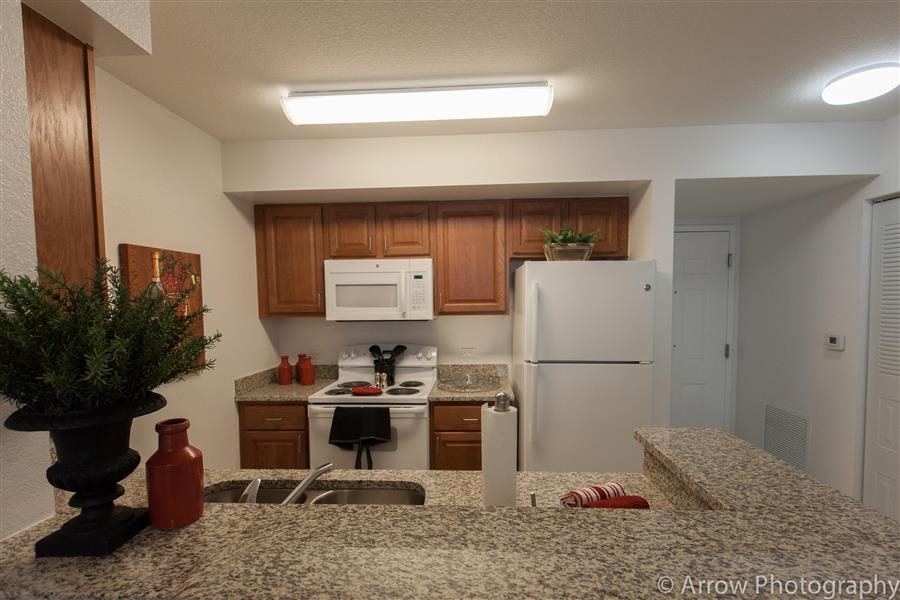 Gallery Photo 17