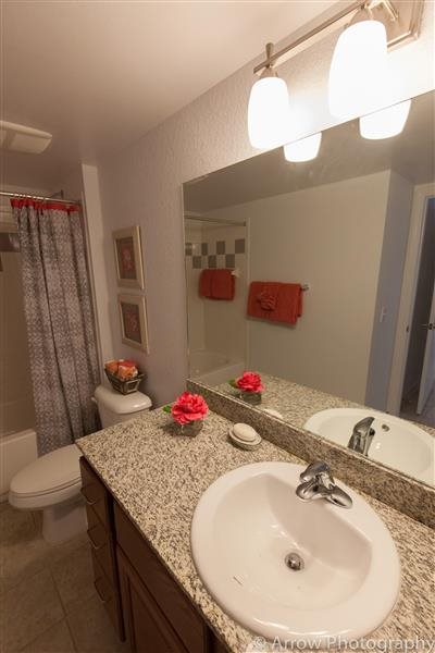 Gallery Photo 18