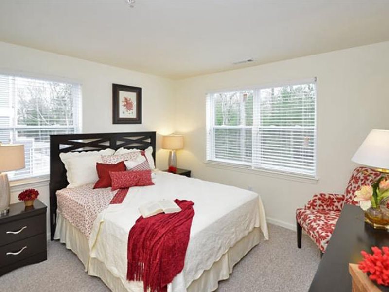 Gallery Photo 1