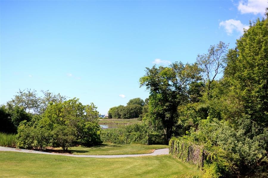 Gallery Photo 16