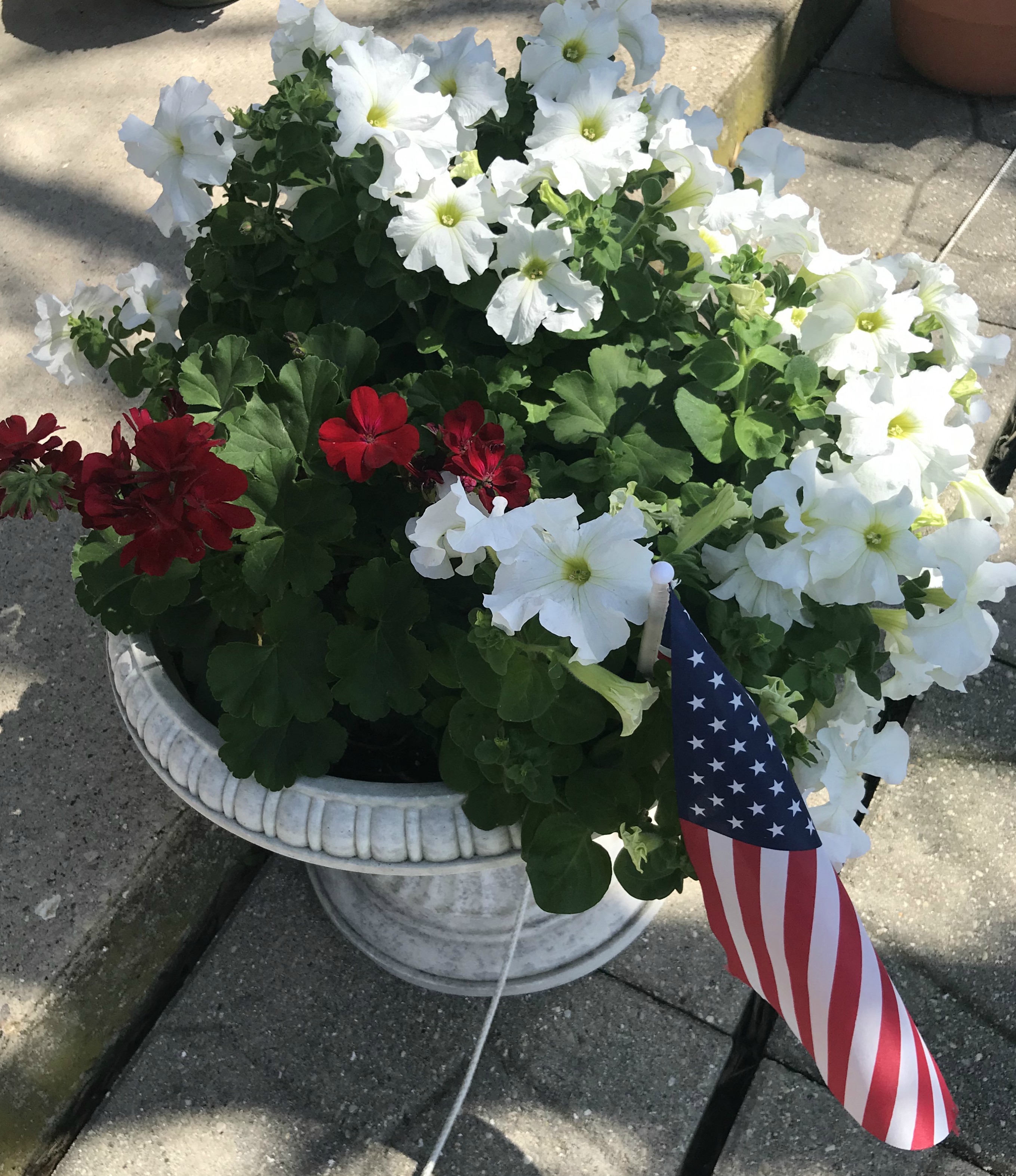 Village Glenn Apartments Apartments in Waunakee, WI