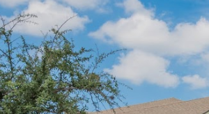 Photos and Video of Converse Ranch in Converse TX