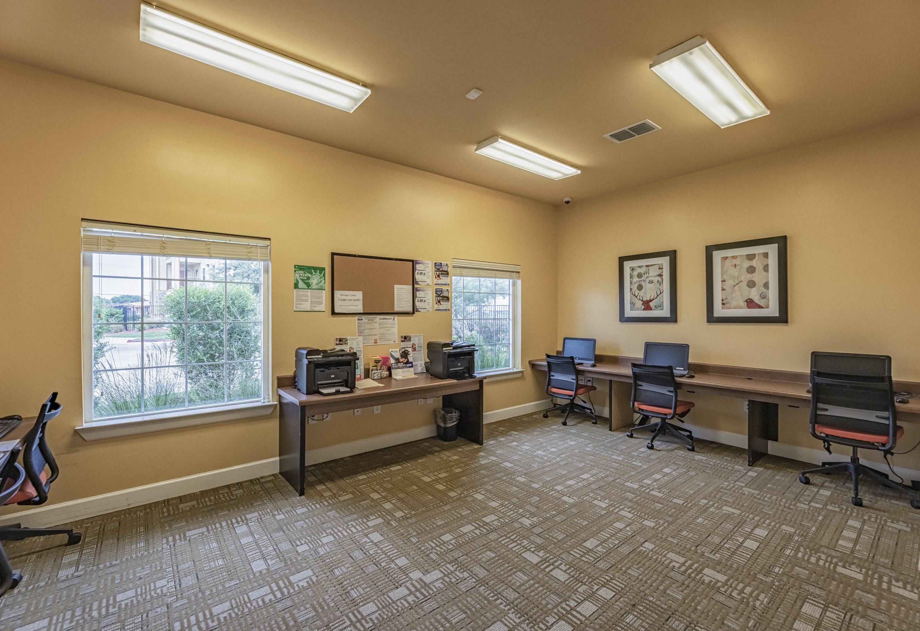 Gallery Photo 5