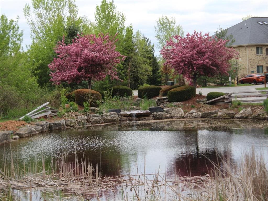 Gallery Photo 27