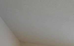 Carrington Drive Bedroom 3