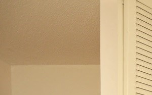 Carrington Drive Closet