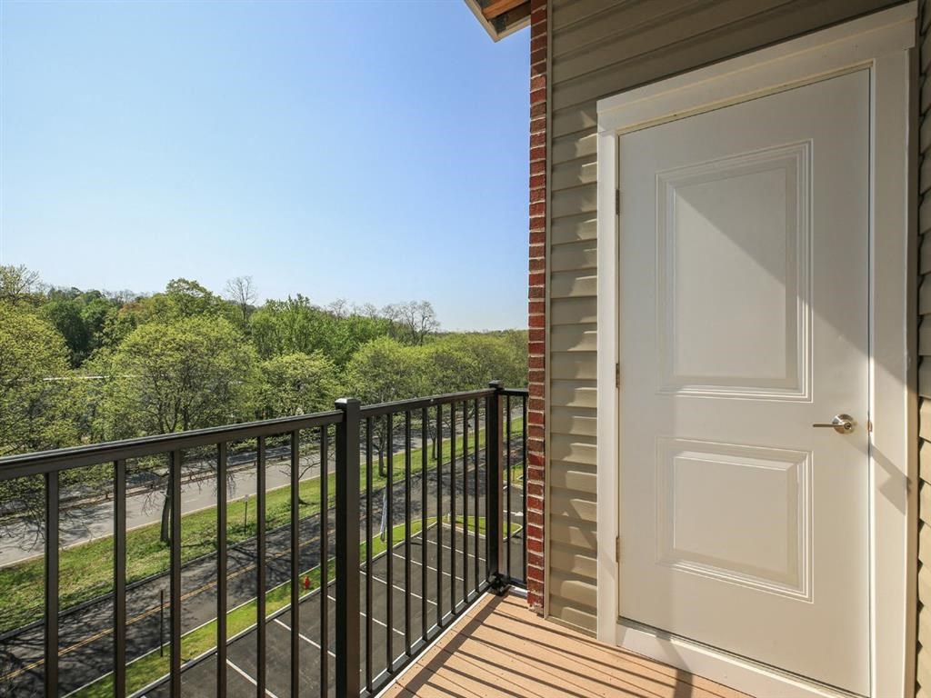 Photos and Video of Elm in Elmsford, NY