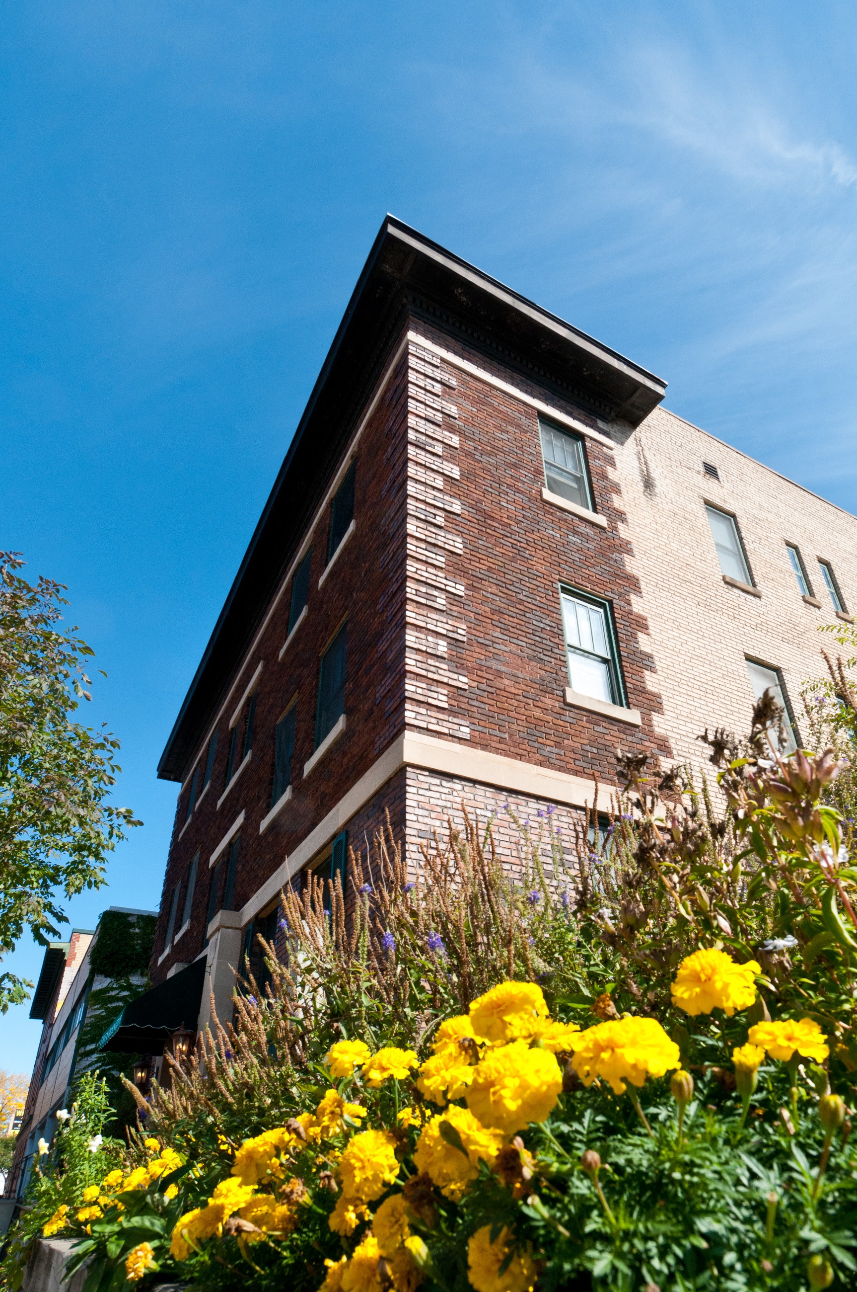 Photos and Video of The Barrington in Minneapolis, MN