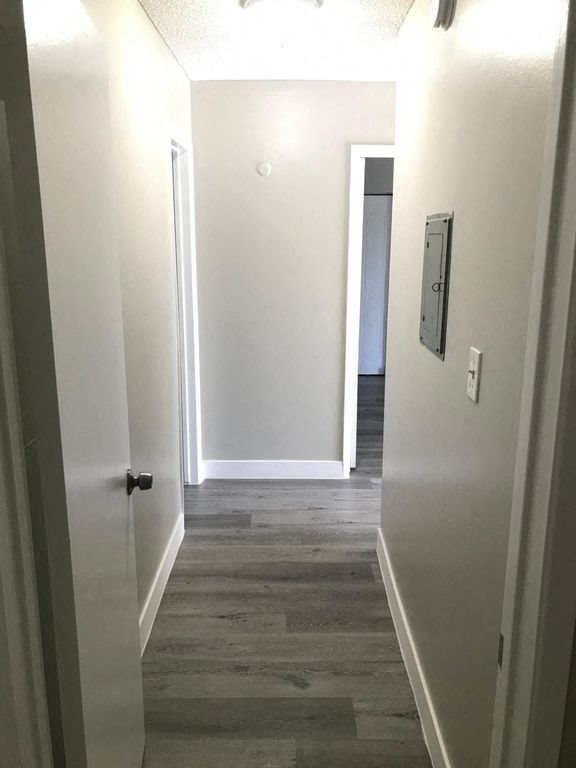 Gallery Photo 3