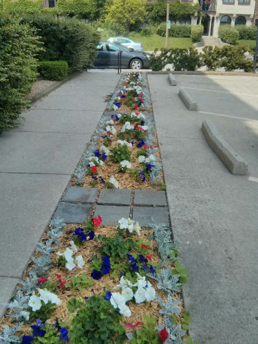 Casanova Landscaping