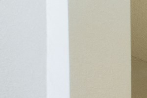 Photos and Video of The Preserve at Tampa Palms in Tampa, FL